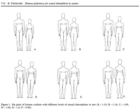 perfect height ratio for couples|Couple Height Comparison